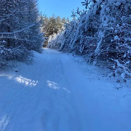 Straszny Dom Na Kaszubach Studzienice