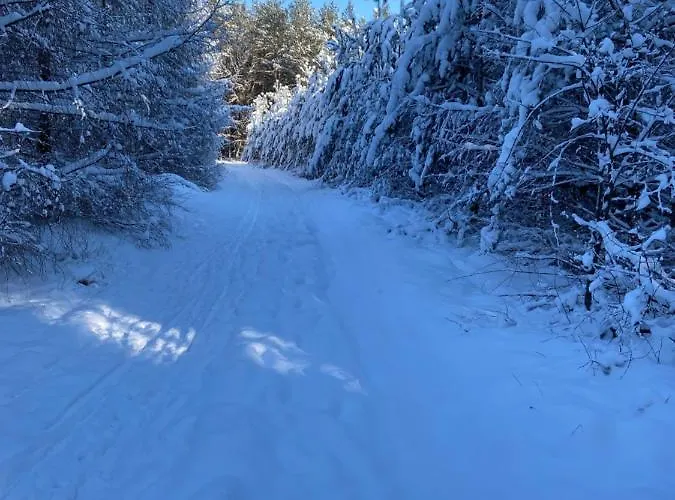 Straszny Dom Na Kaszubach Studzienice