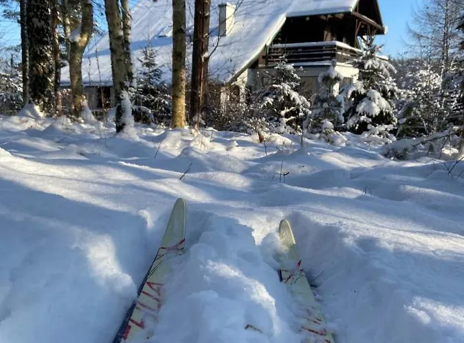 Straszny Dom Na Kaszubach * Studzienice