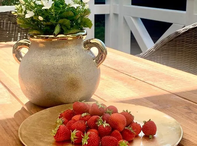 Straszny Dom Na Kaszubach Studzienice