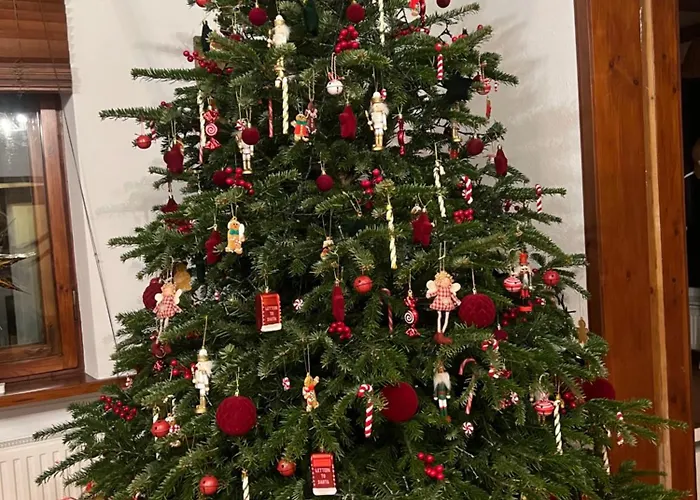 Straszny Dom Na Kaszubach Semesterbostad Studzienice